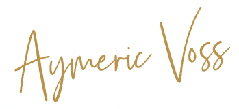 Aymeric Voss agent immobilier toulouse 31000 31100 31200 31300 31400 31500
